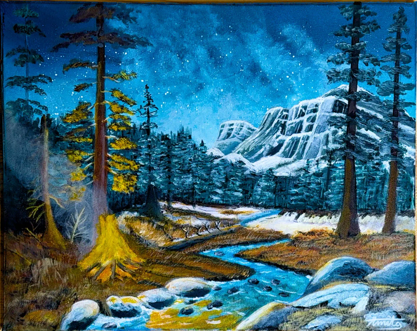 Campfire — owner-supplied original artwork