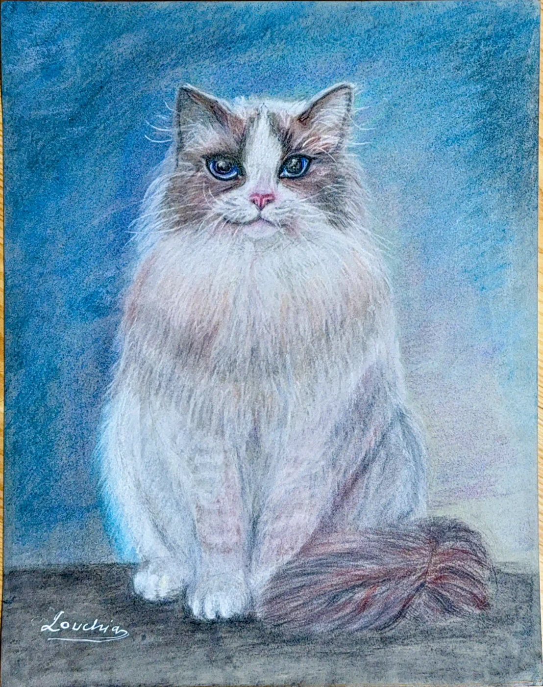 Ragdoll Cat — owner-supplied original artwork