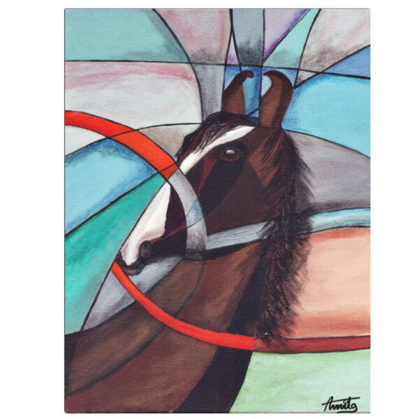 Marwari Horse Fine Art Print by Amit Abha